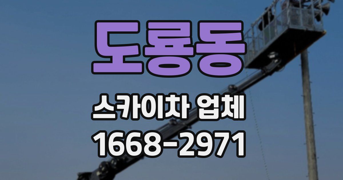 도룡동 스카이차 업체