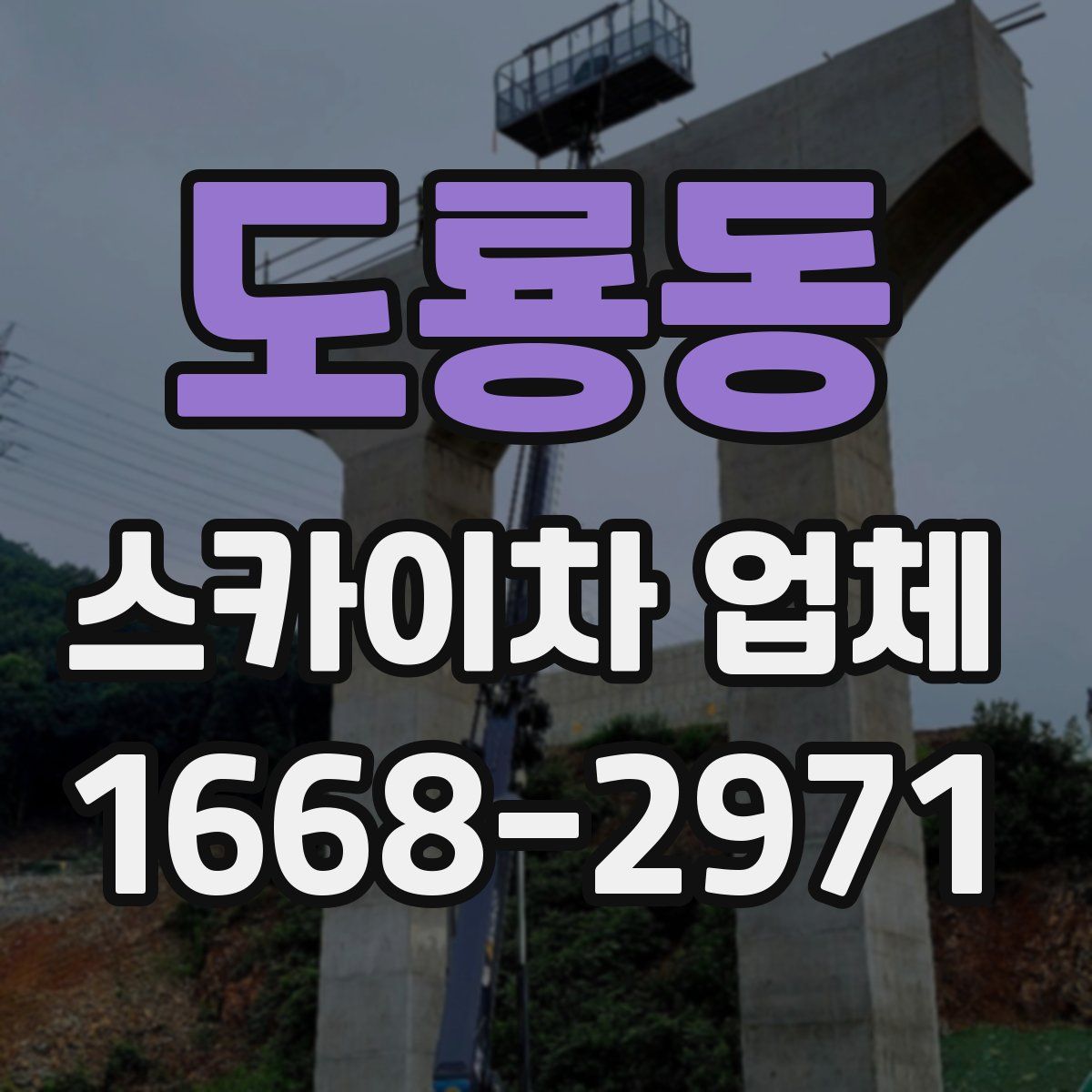 도룡동 스카이차 업체