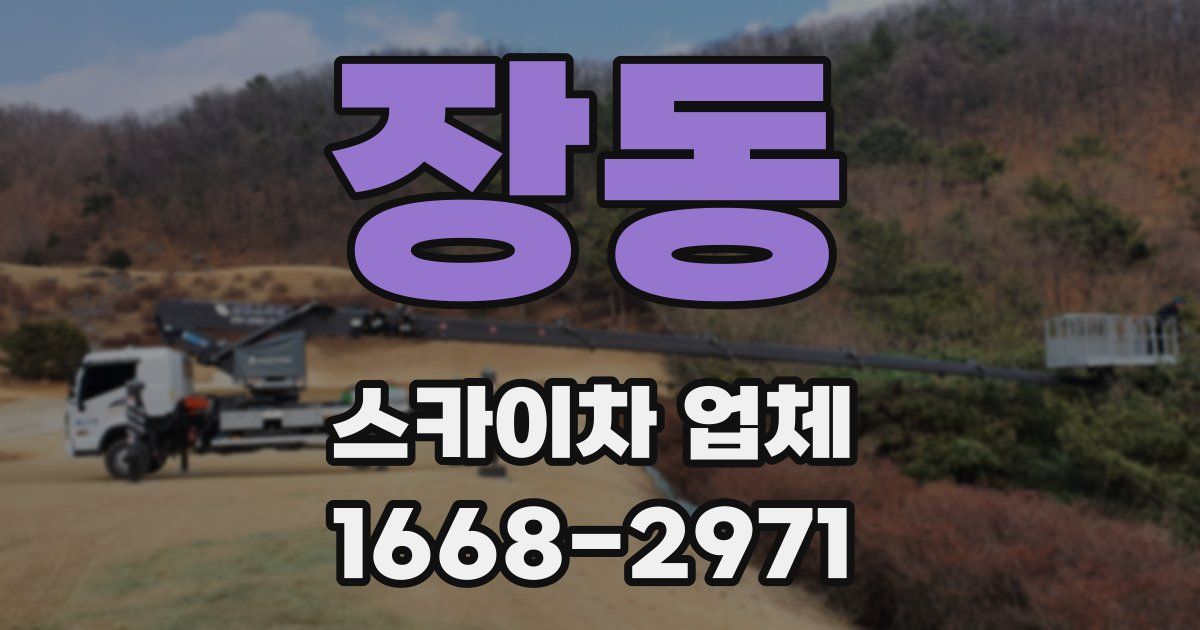 장동 스카이차 업체