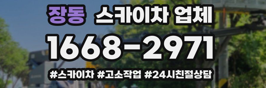 장동 스카이차 업체