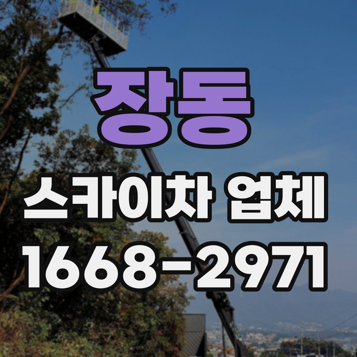장동 스카이차 업체
