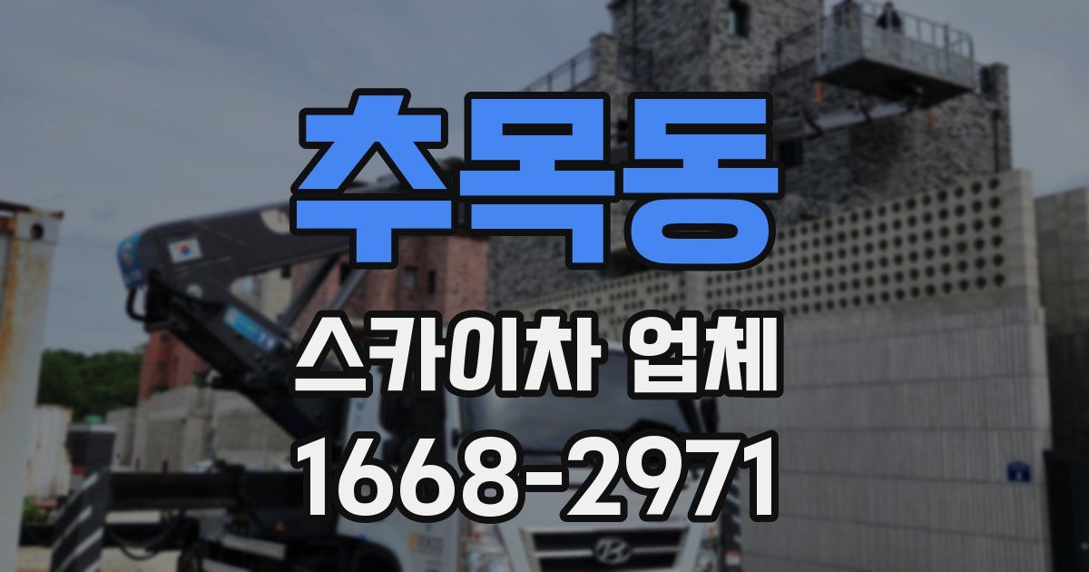 추목동 스카이차 업체