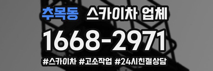추목동 스카이차 업체