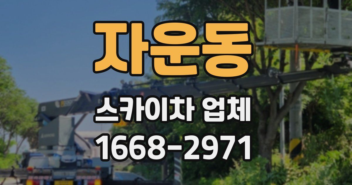 자운동 스카이차 업체