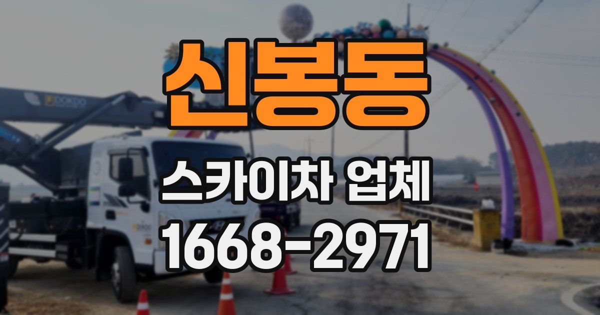 신봉동 스카이차 업체