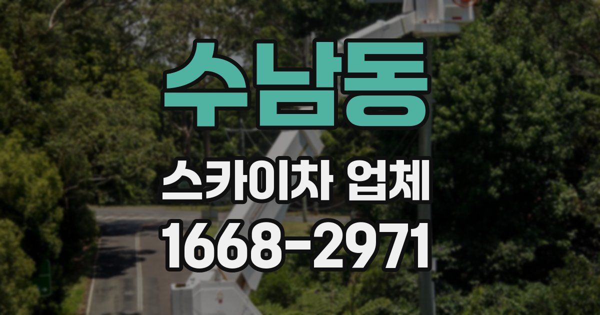 수남동 스카이차 업체