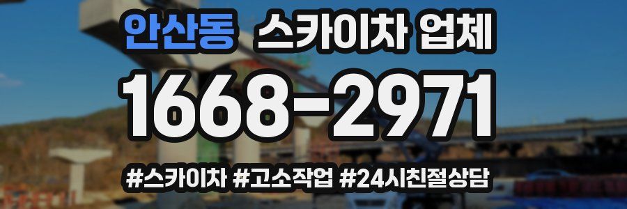 안산동 스카이차 업체