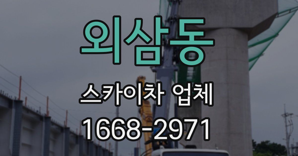 외삼동 스카이차 업체