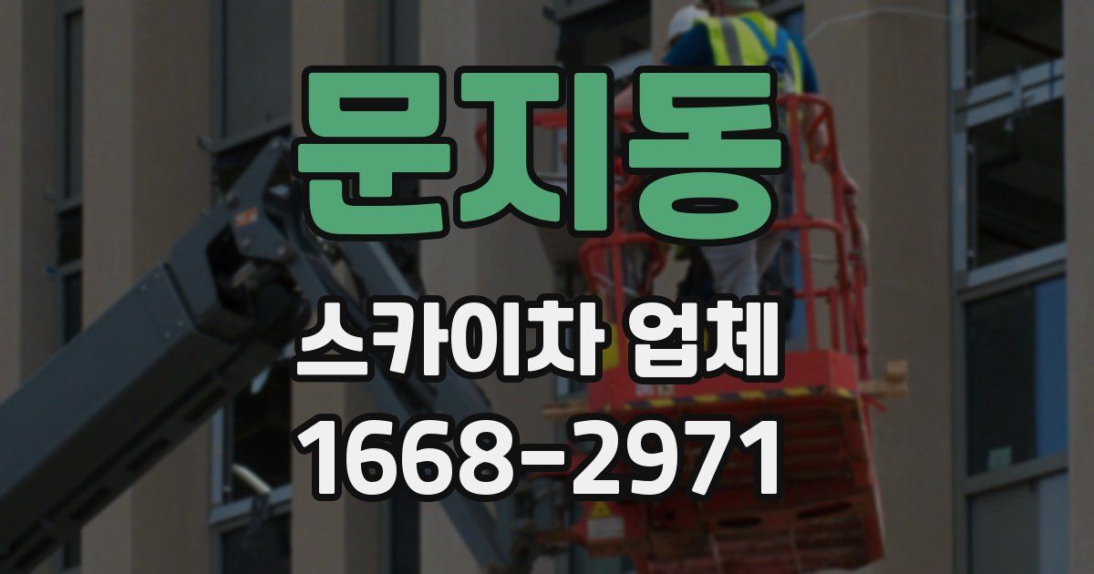 문지동 스카이차 업체
