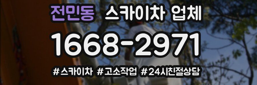 전민동 스카이차 업체