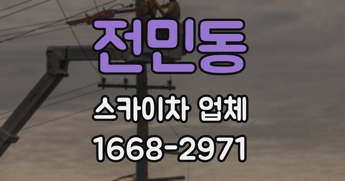 전민동 스카이차 업체
