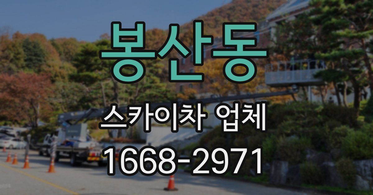봉산동 스카이차 업체