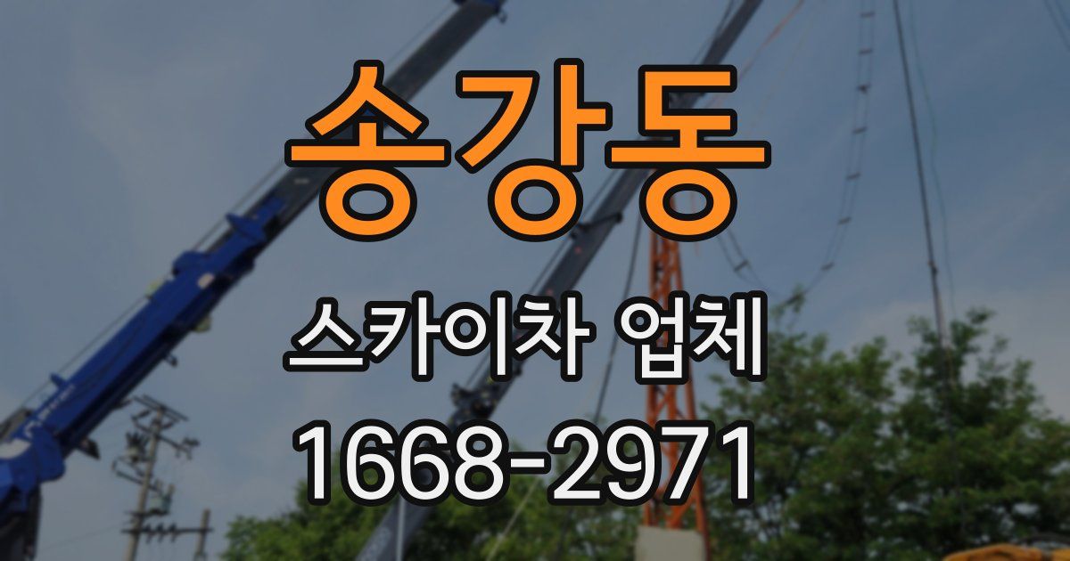 송강동 스카이차 업체