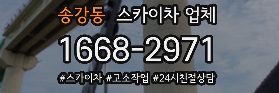 송강동 스카이차 업체
