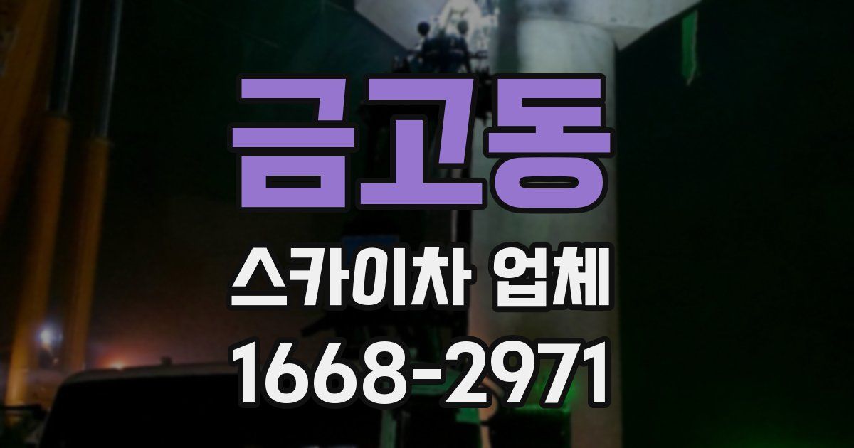 금고동 스카이차 업체