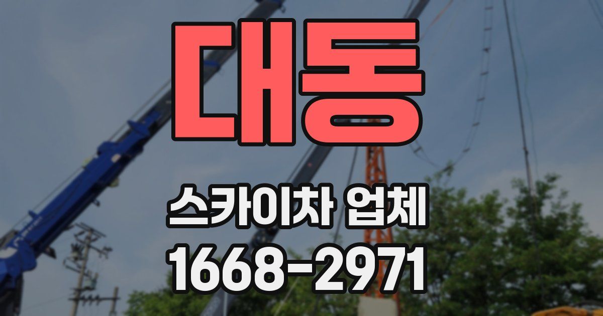 대동 스카이차 업체