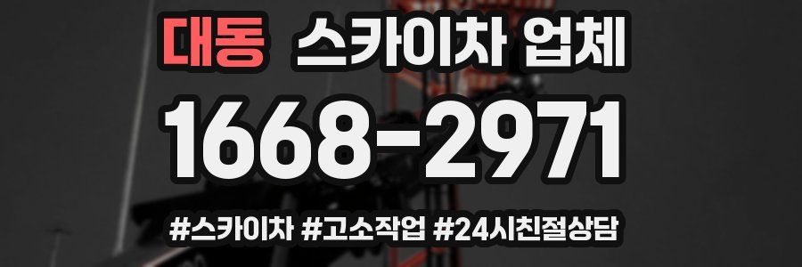 대동 스카이차 업체