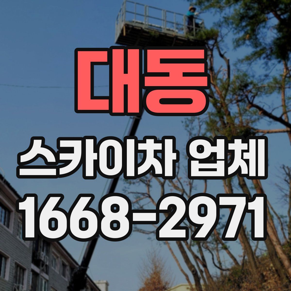 대동 스카이차 업체