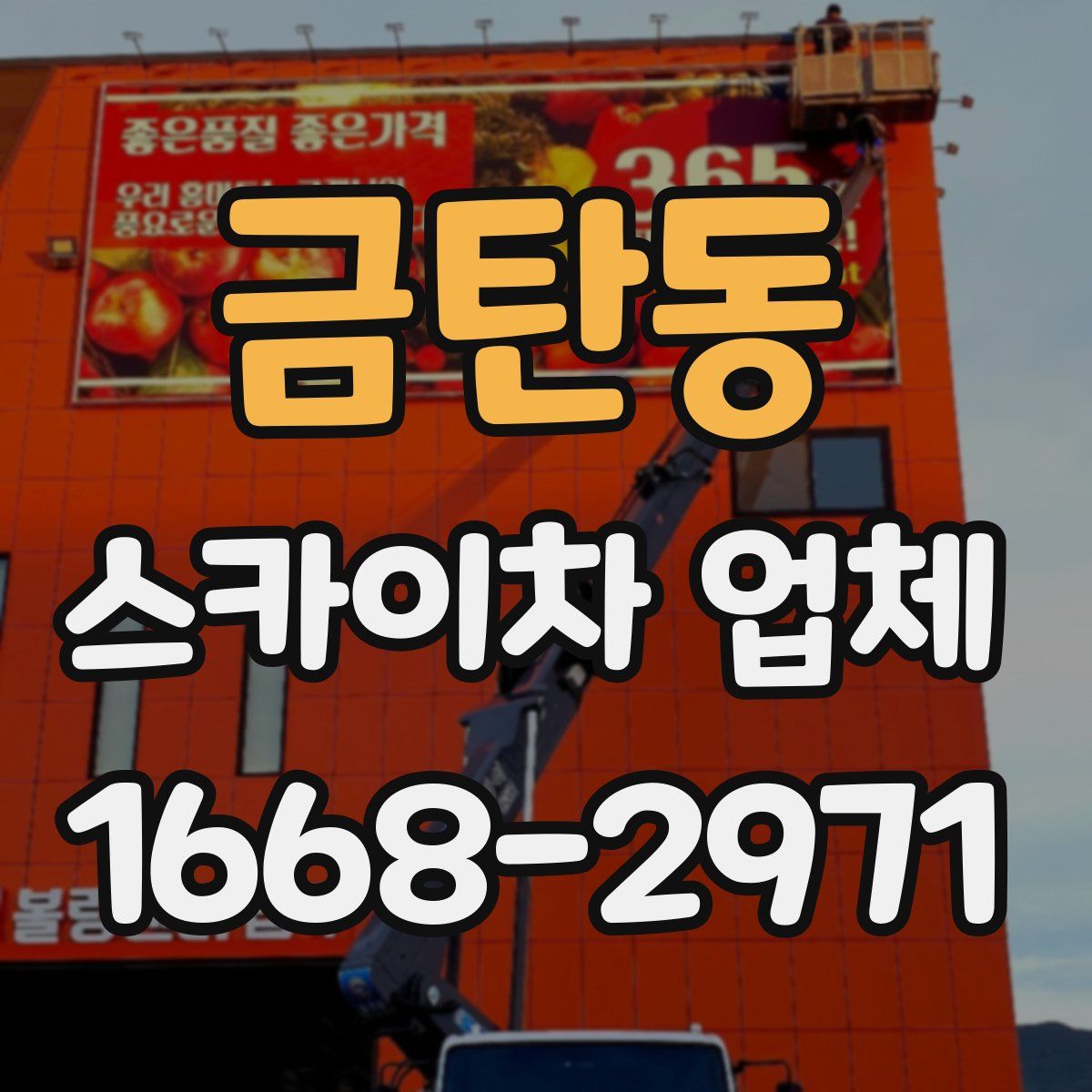 금탄동 스카이차 업체
