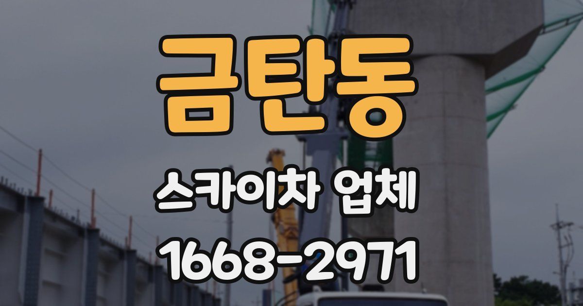 금탄동 스카이차 업체