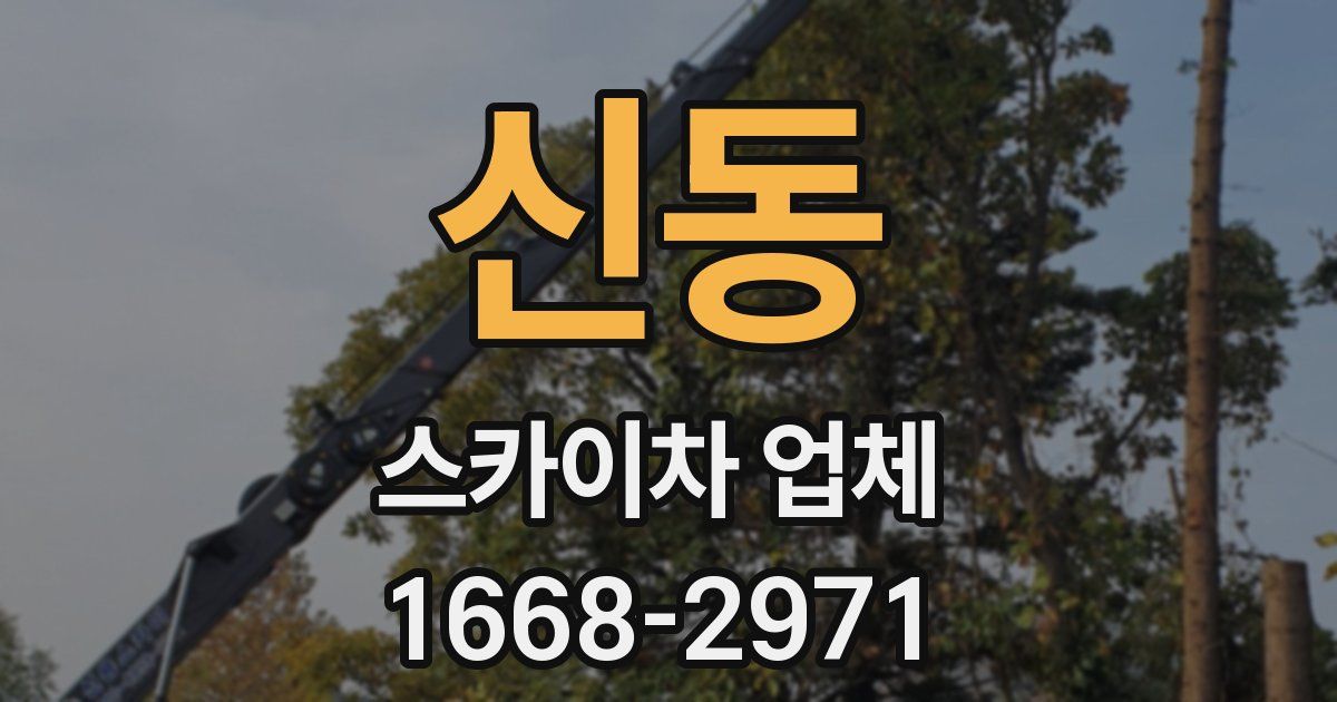 신동 스카이차 업체