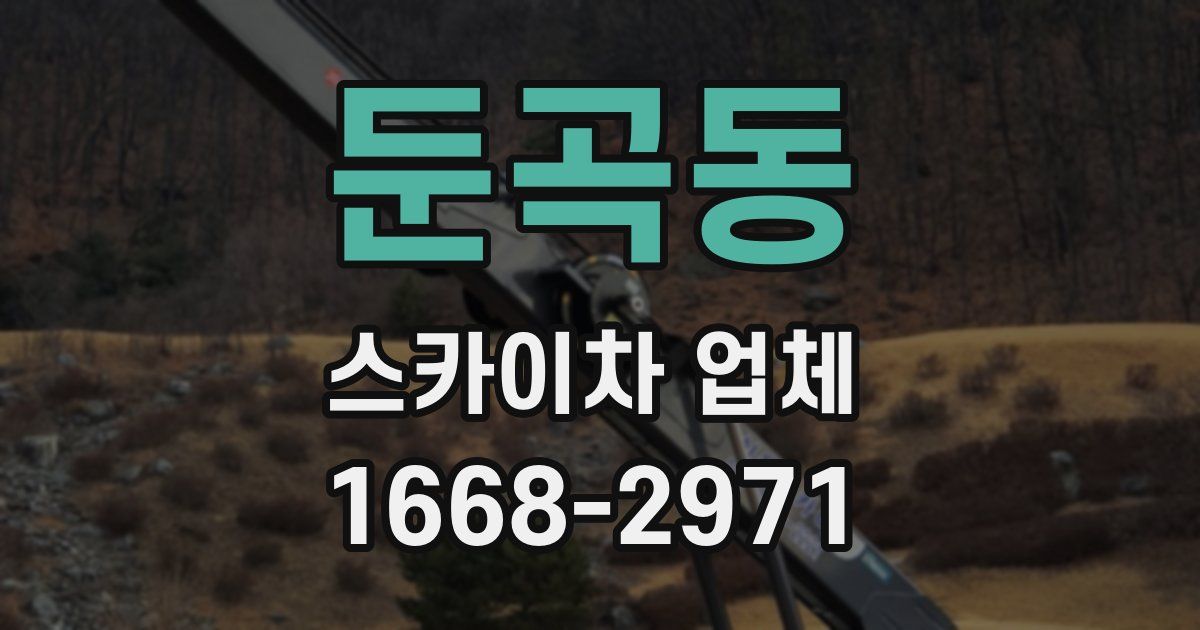 둔곡동 스카이차 업체