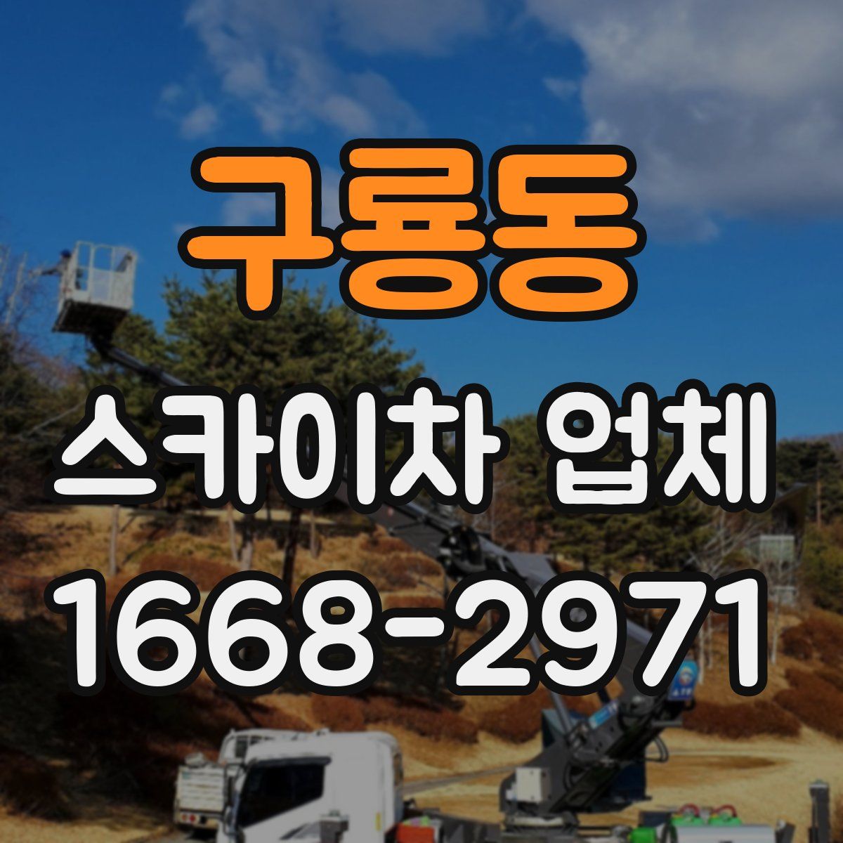 구룡동 스카이차 업체
