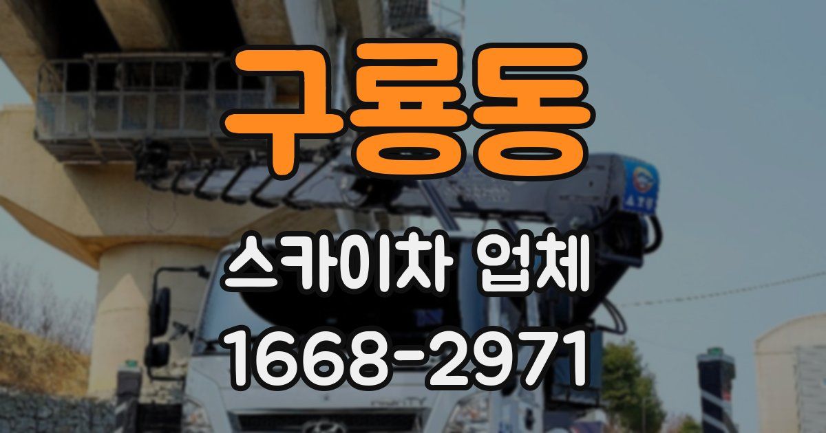 구룡동 스카이차 업체