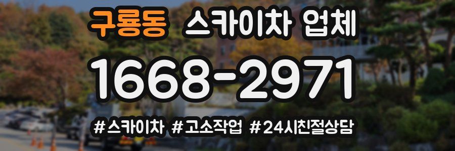 구룡동 스카이차 업체