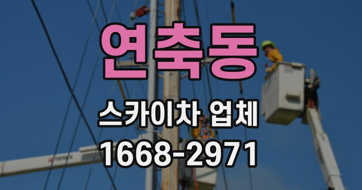 연축동 스카이차 업체
