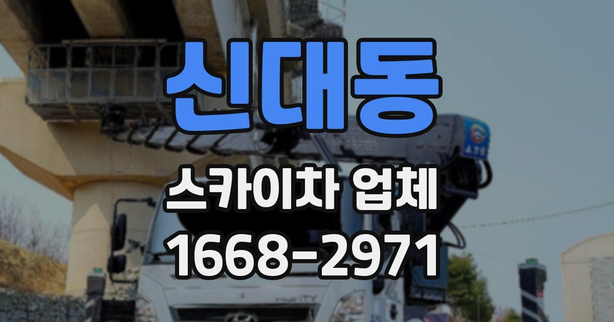 신대동 스카이차 업체