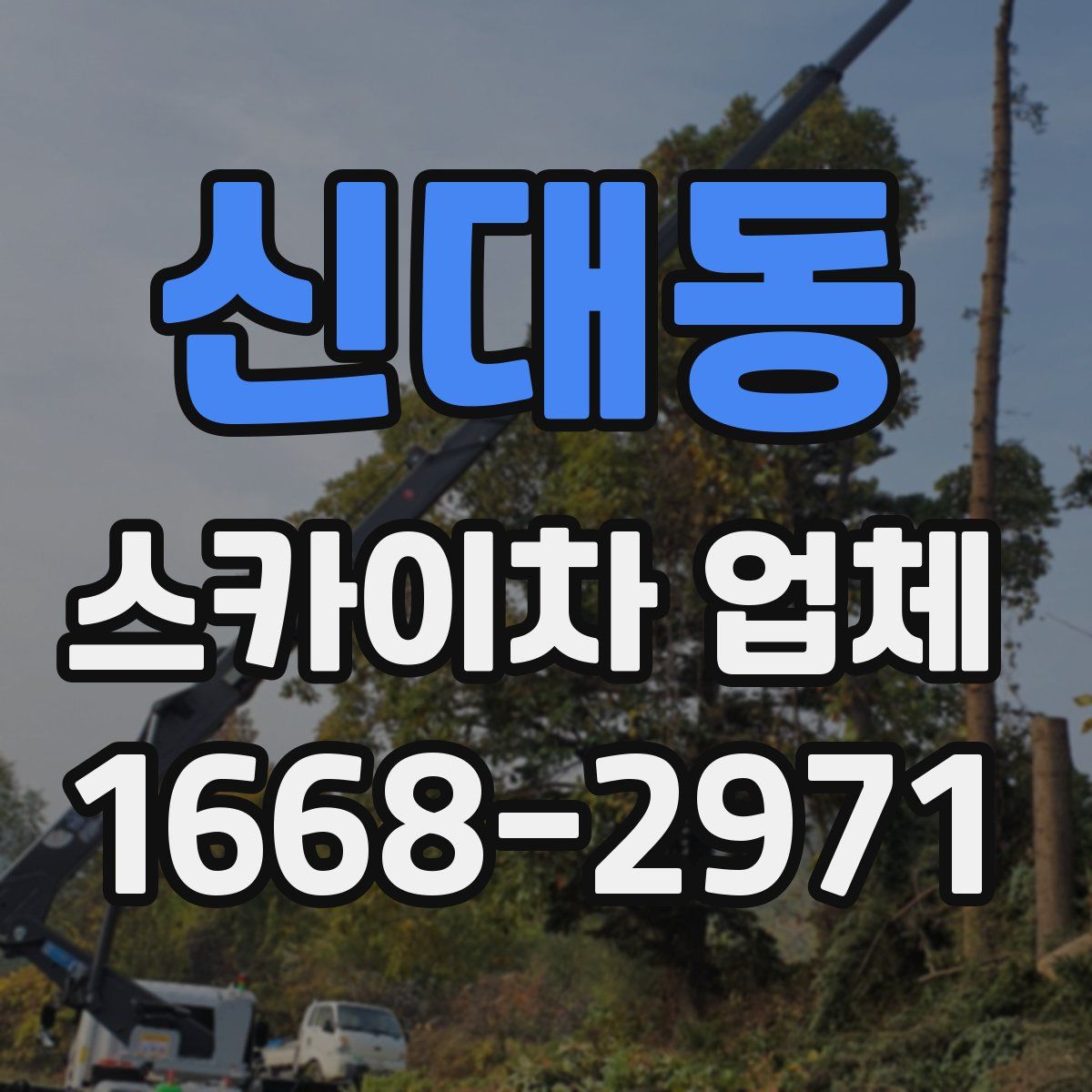 신대동 스카이차 업체
