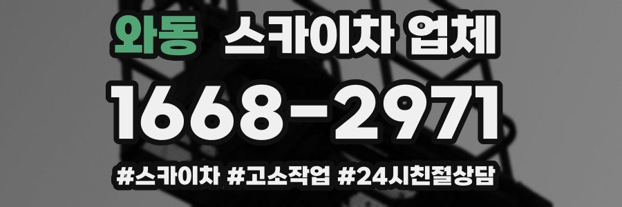 와동 스카이차 업체