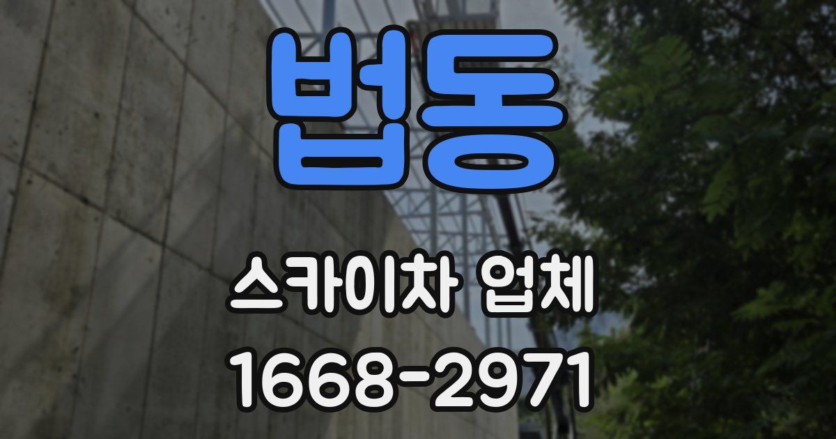 법동 스카이차 업체