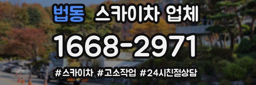 법동 스카이차 업체