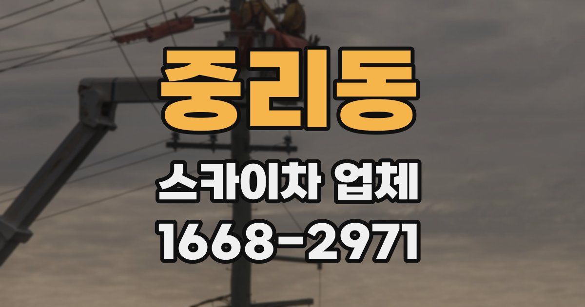 중리동 스카이차 업체