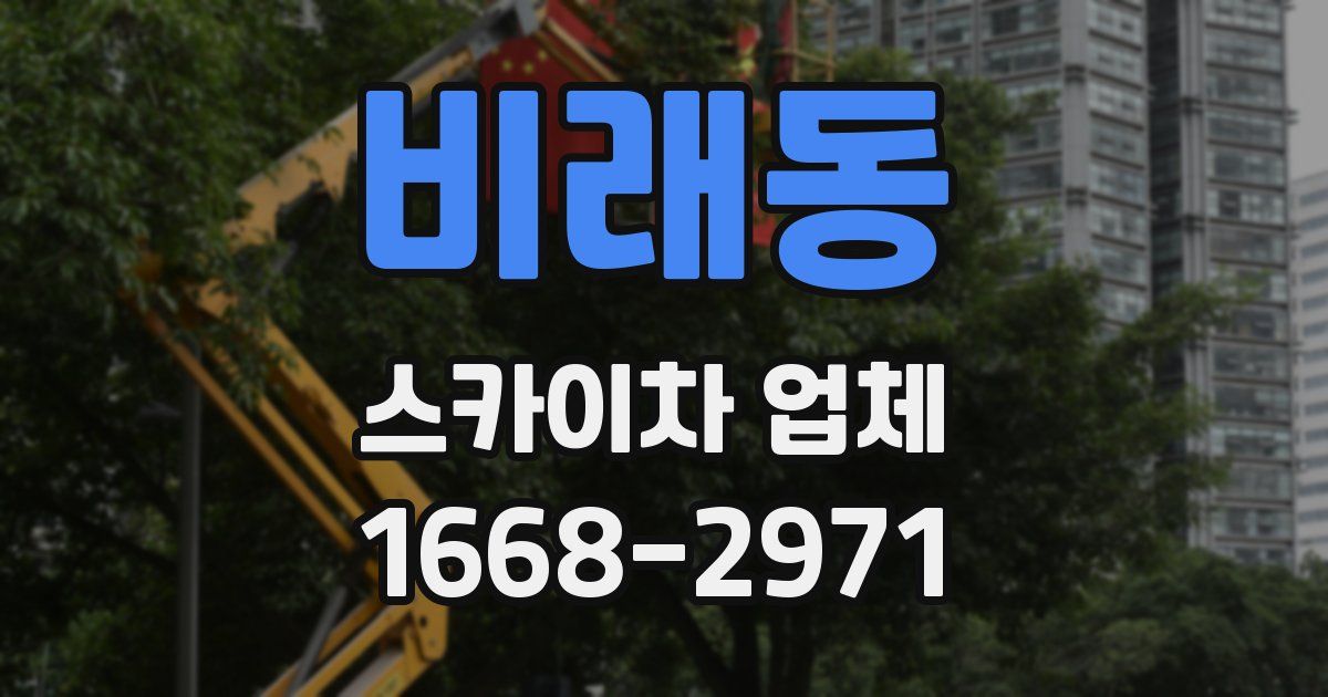비래동 스카이차 업체
