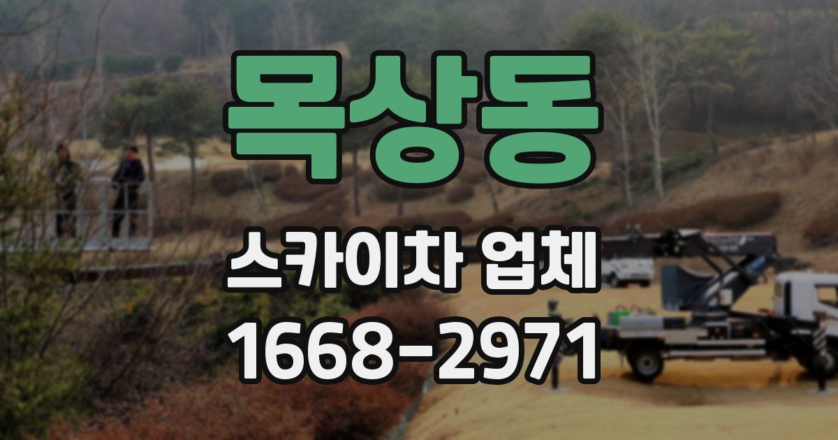 목상동 스카이차 업체