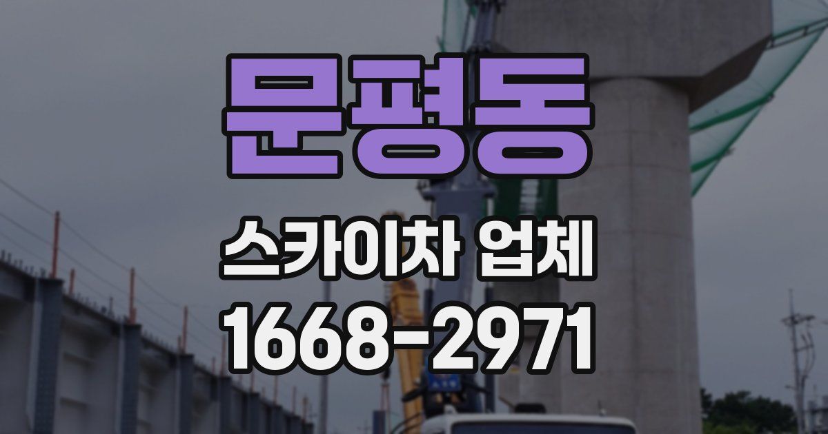 문평동 스카이차 업체