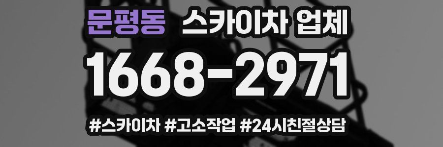 문평동 스카이차 업체