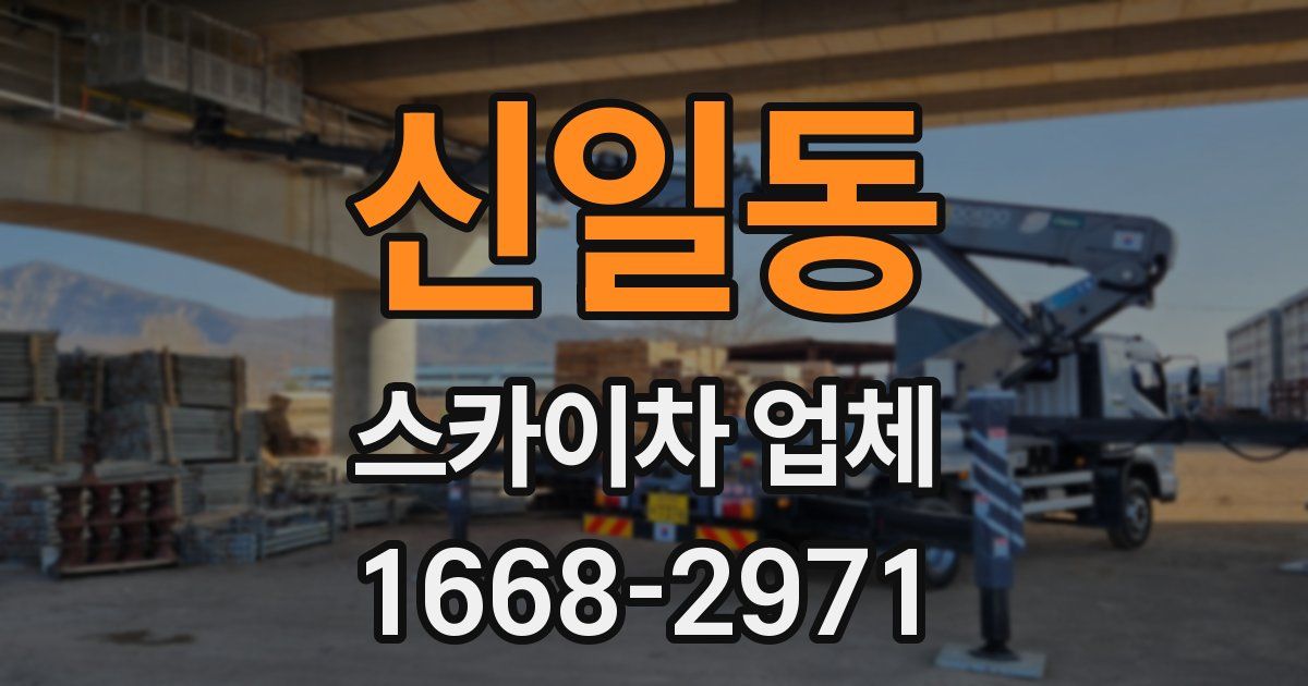 신일동 스카이차 업체