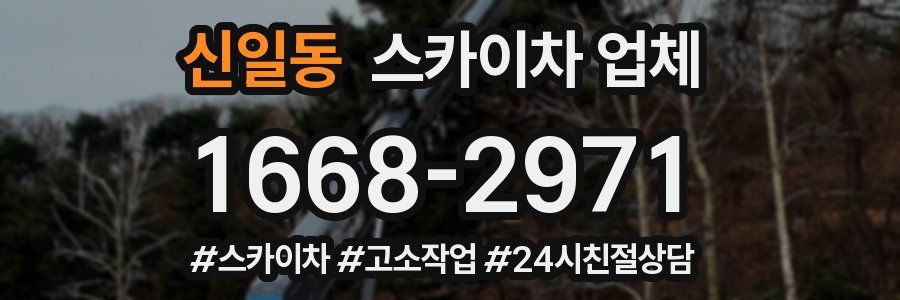 신일동 스카이차 업체