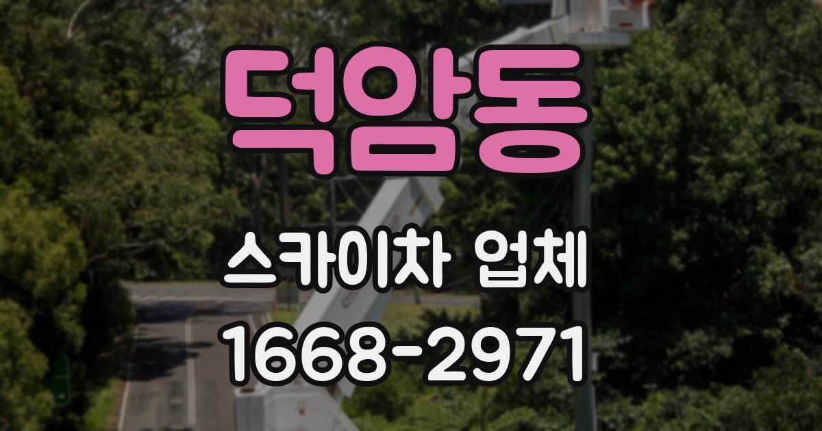 덕암동 스카이차 업체