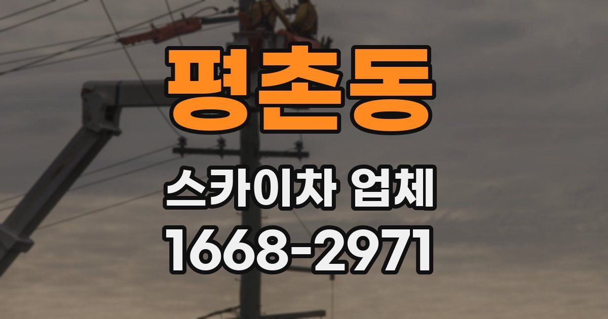 평촌동 스카이차 업체
