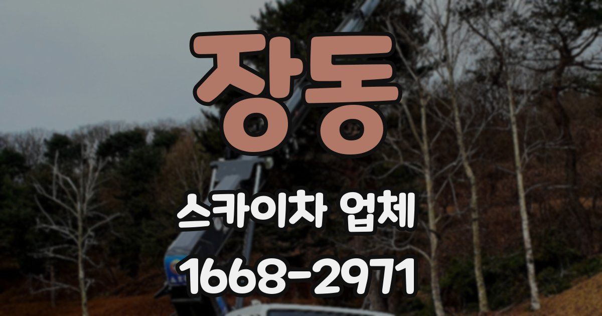 장동 스카이차 업체