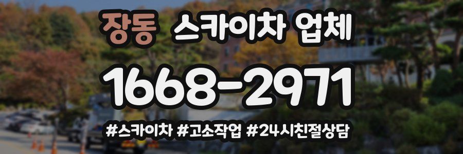 장동 스카이차 업체