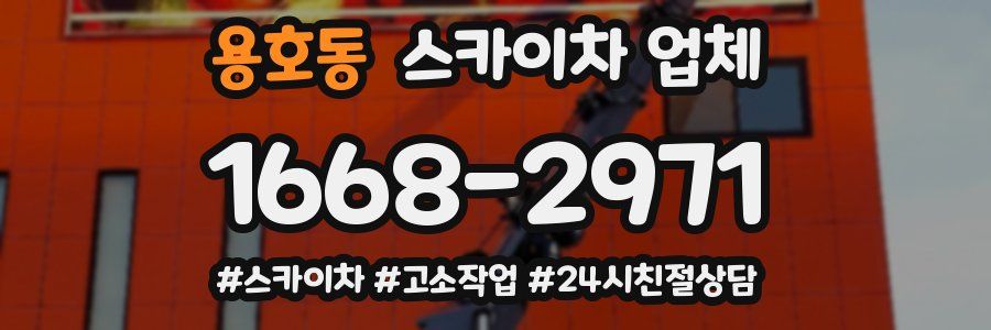 용호동 스카이차 업체