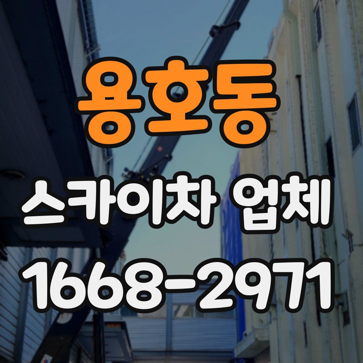 용호동 스카이차 업체