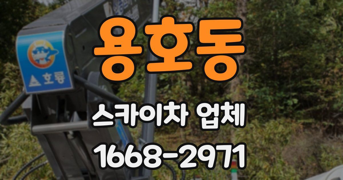 용호동 스카이차 업체