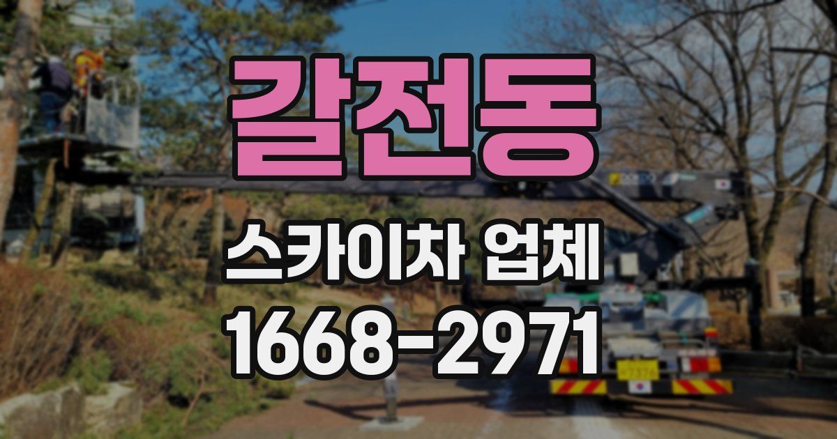 갈전동 스카이차 업체